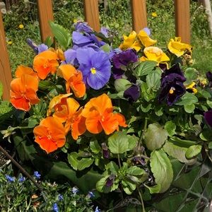 Meet your Posher, Summer